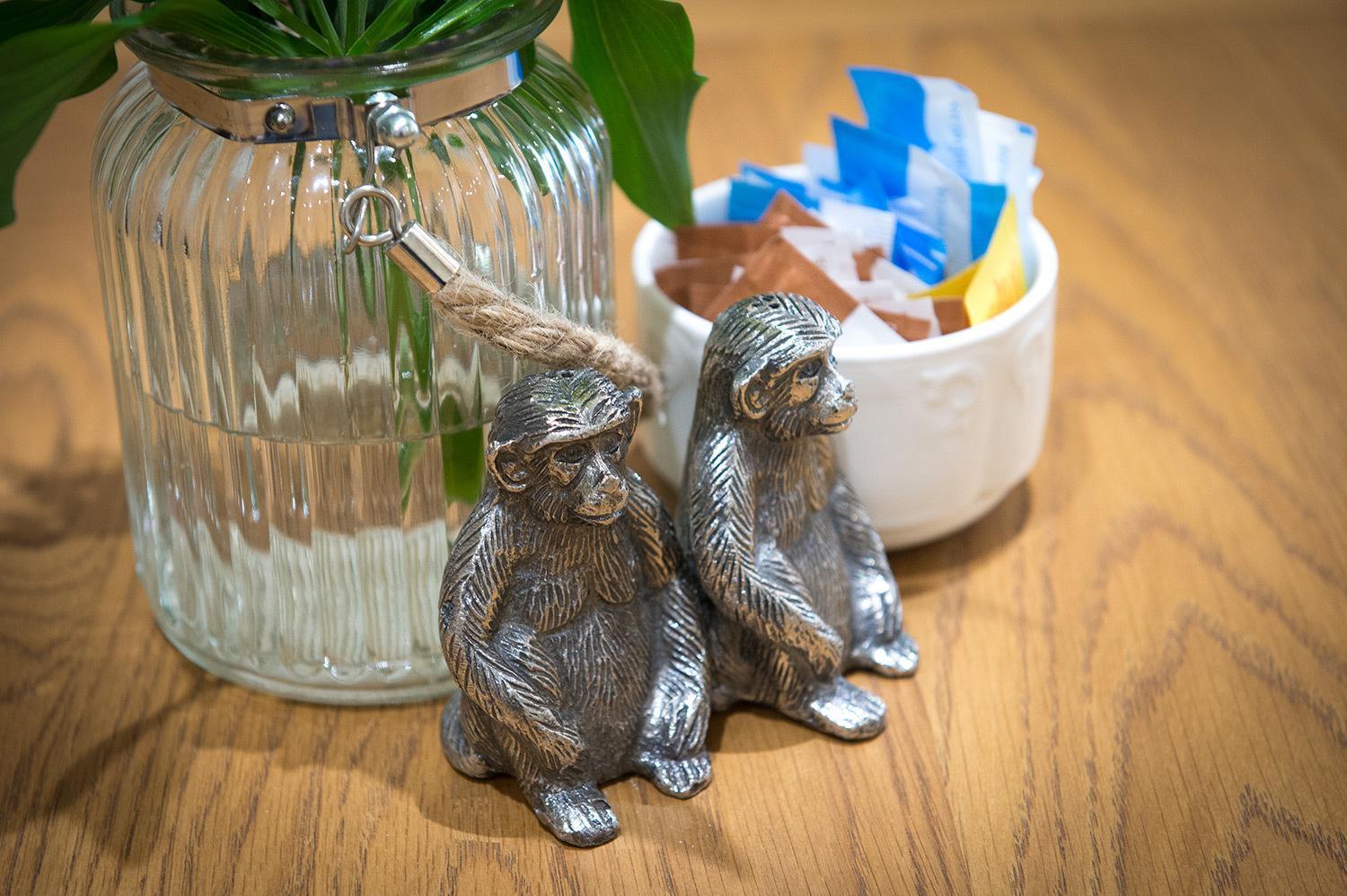 Darwin'S Townhouse Acomodação com café da manhã Shrewsbury Exterior foto Silver monkey salt and pepper shakers